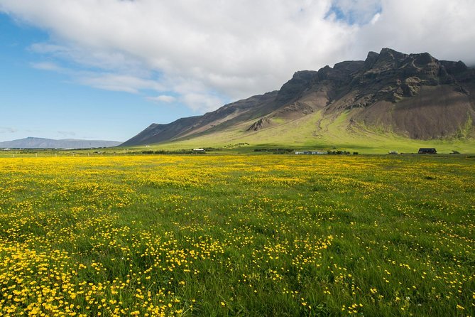 Reykjanes peninsula - Private pacing with pickup, up to 8 people