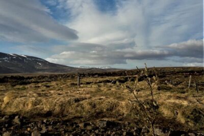 Reykjanes peninsula- Geopark and much more. Private tour - Private pickup and a comfortable ride you’ll notice quickly