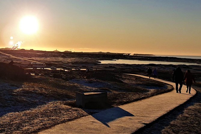 Reykjanes peninsula- Geopark and much more. Private tour - Reykjanesbær: coffee houses and a calmer cultural stop