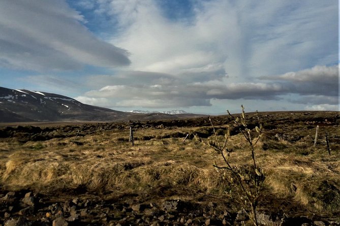 Reykjanes peninsula- Geopark and much more. Private tour - Private pickup and a comfortable ride you’ll notice quickly