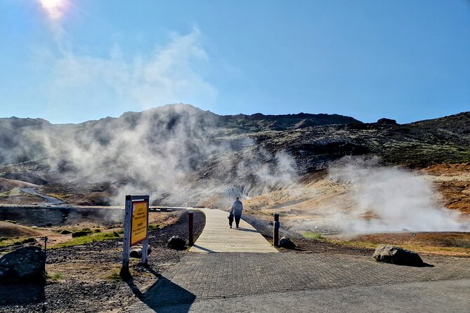 Reykjanes Peninsula Private tour Iceland - Reykjanes Peninsula Without the Long Drive from Reykjavik