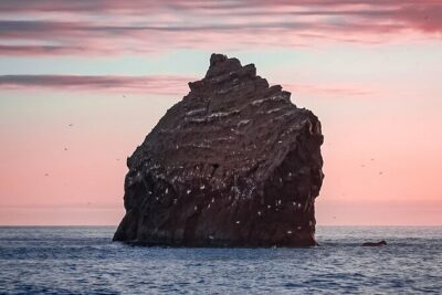Reykjanes Peninsula Private tour Iceland - Price and What You Actually Get for $600
