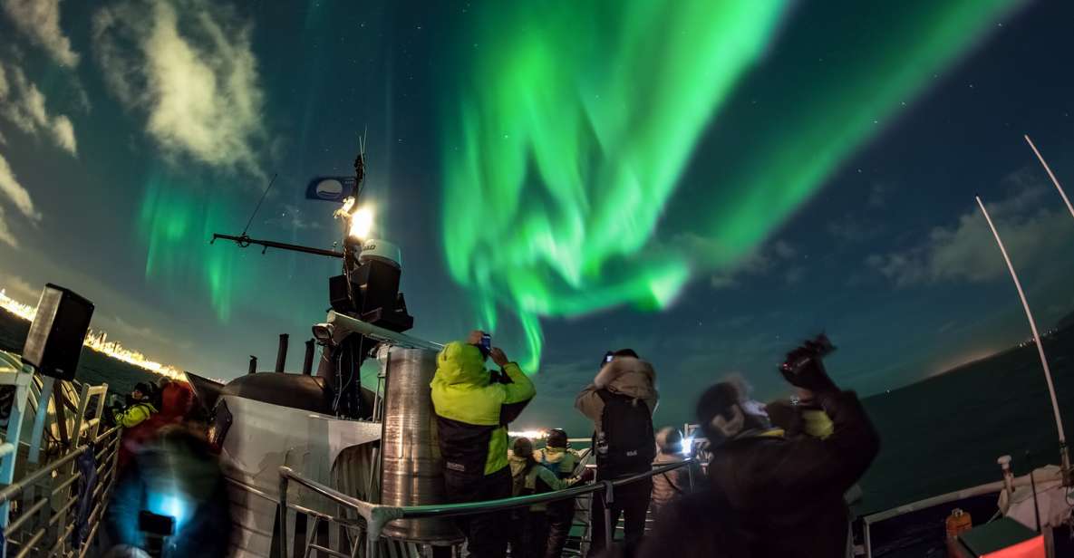 Reykjavik: 2-Hour Northern Lights by Boat with Backup Plan - Why a northern lights boat ride beats waiting on land