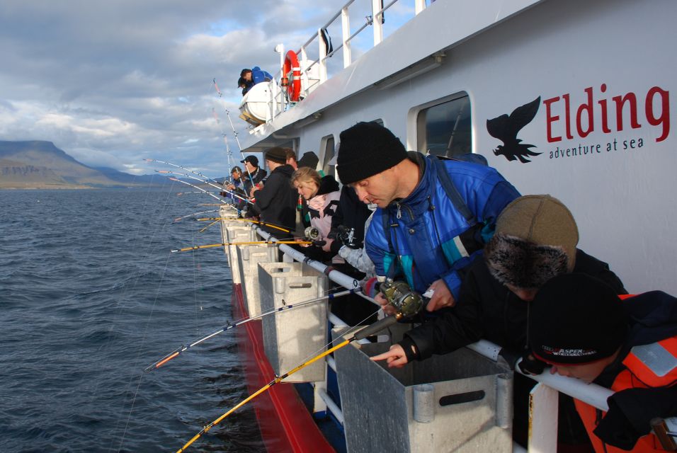 Reykjavik: 3-Hour Sea Angling Gourmet Experience Tour - Who Should Book This Reykjavik Sea Angling Cruise