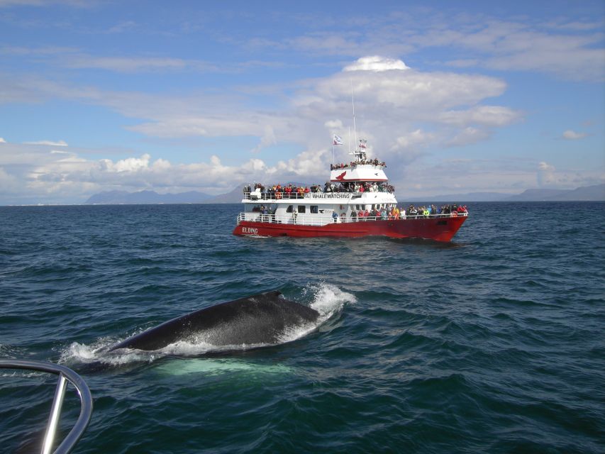 Reykjavik: ATV Ride & Whale Watching Boat Tour - The ATV Climb Toward Reykjavik Peak: Gear Up and Go