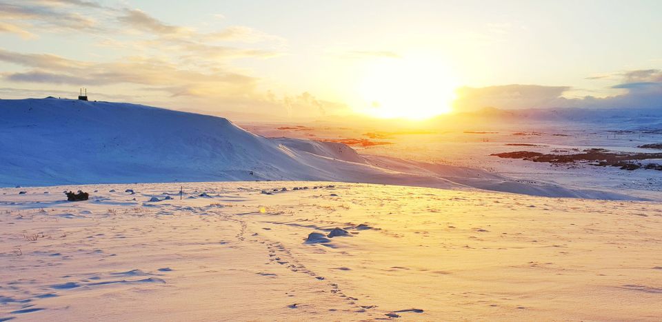 Reykjavik: Buggy Safari Tour with Hotel Transfers - Key highlights at a glance