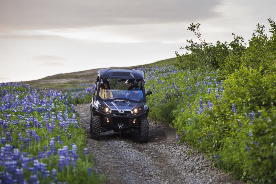 Reykjavik: Buggy Safari Tour with Hotel Transfers - What to bring (and what not to bring)