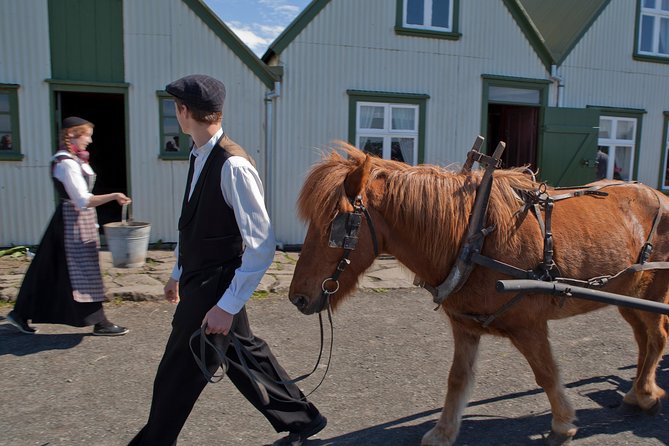 Reykjavik City Card 24-hour - Árbær Open Air Museum: step into everyday life as it used to be