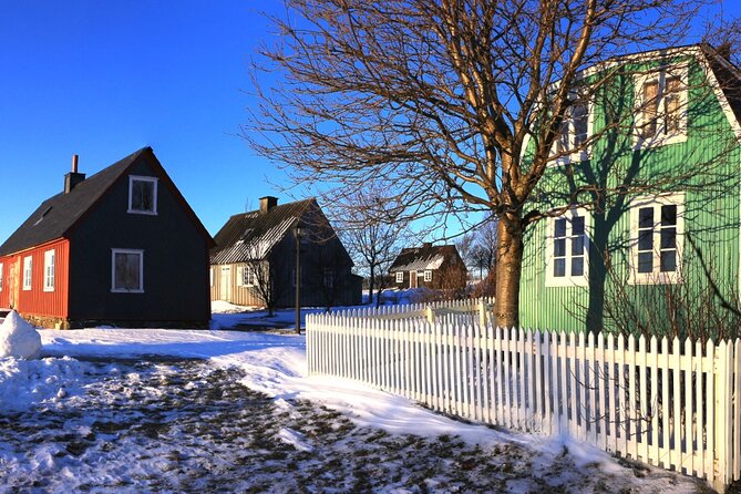 Reykjavik City Card 48 hours - Beyond the classics: natural history, family zoo, and modern art outside the center