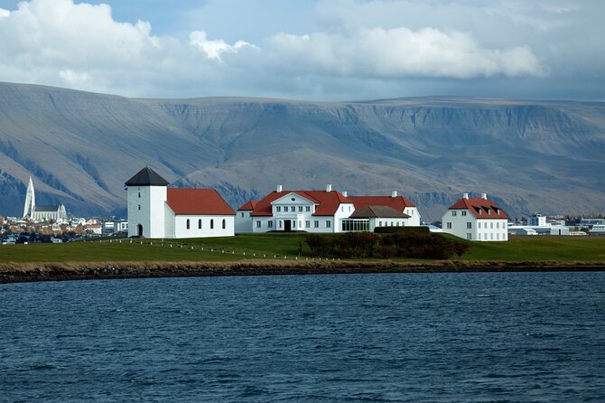 Reykjavik City Private Tour - Harpa Concert Hall: Architecture With an Active Music Calendar