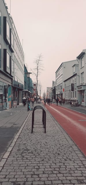 Reykjavik City Private Tour: Perlan, Arbaer & City Landmarks - Key things I’d underline before you go