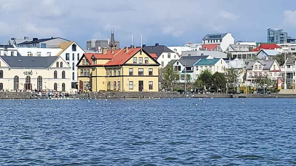 Reykjavik City Private Tour: Perlan, Arbaer & City Landmarks - A second city photo stop: short, useful, and flexible
