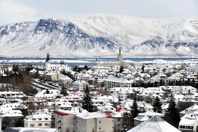 Reykjavik City Walking Tour - Volcanic basics at City Hall: how the map makes Iceland click
