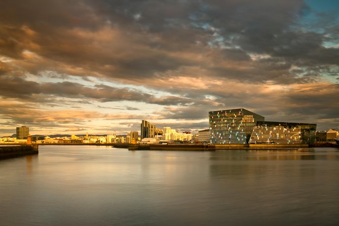 Reykjavik City Walking Tour - Harpa and Old Harbour: architecture, bay views, and the Sun Voyager moment