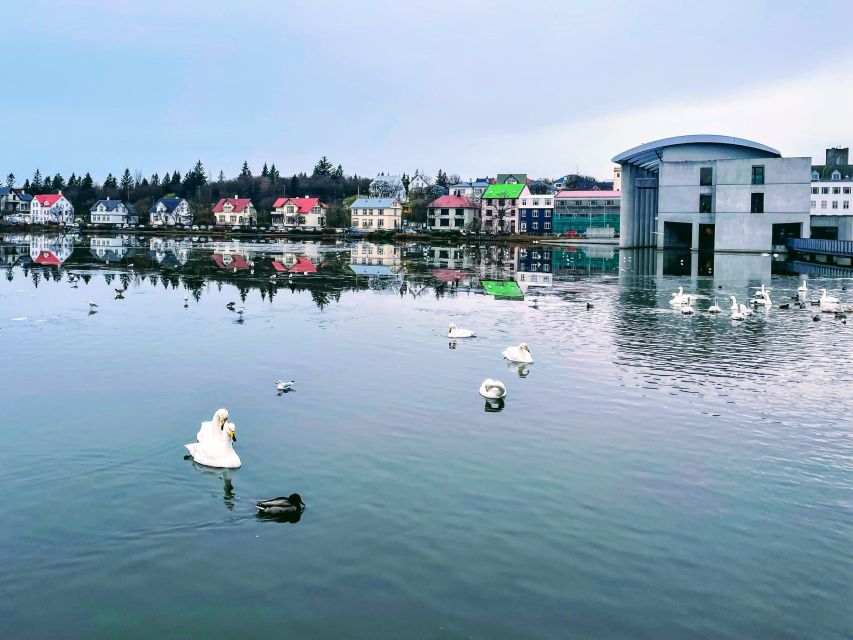 Reykjavik: City Walking tour in Small Group with Local Guide - Lake Tjörnin Stroll: Birds, Colorful Houses, and Quiet Breaks