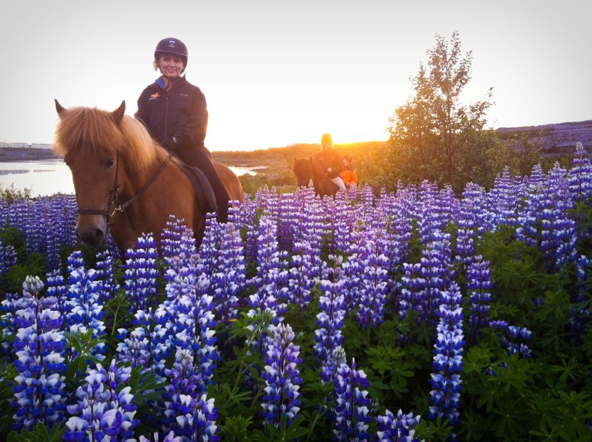 Reykjavik: Evening Sleipnir Horse Riding Tour with Pickup - Key highlights you’ll feel right away