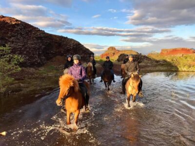 Reykjavik: Evening Sleipnir Horse Riding Tour with Pickup - The “short riding lesson” that makes novices comfortable