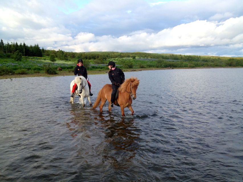 Reykjavik: Evening Sleipnir Horse Riding Tour with Pickup - Price and value: what $202 covers (and why it can be worth it)
