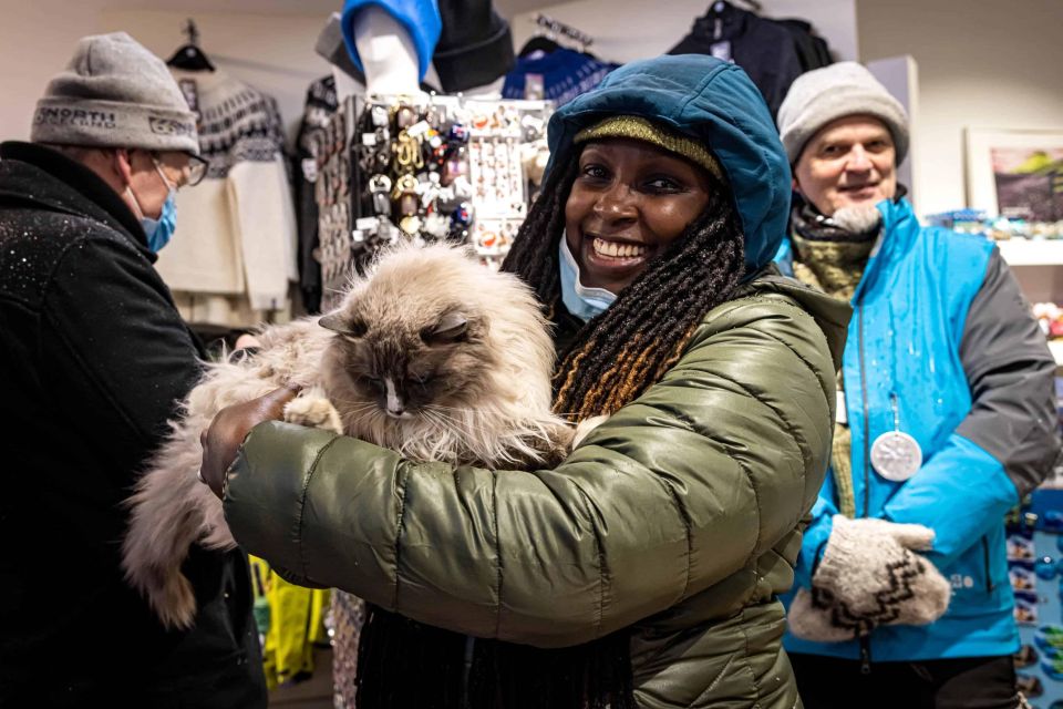 Reykjavik: Feline-Focused City Walking Tour - Key things I’d prioritize before you go
