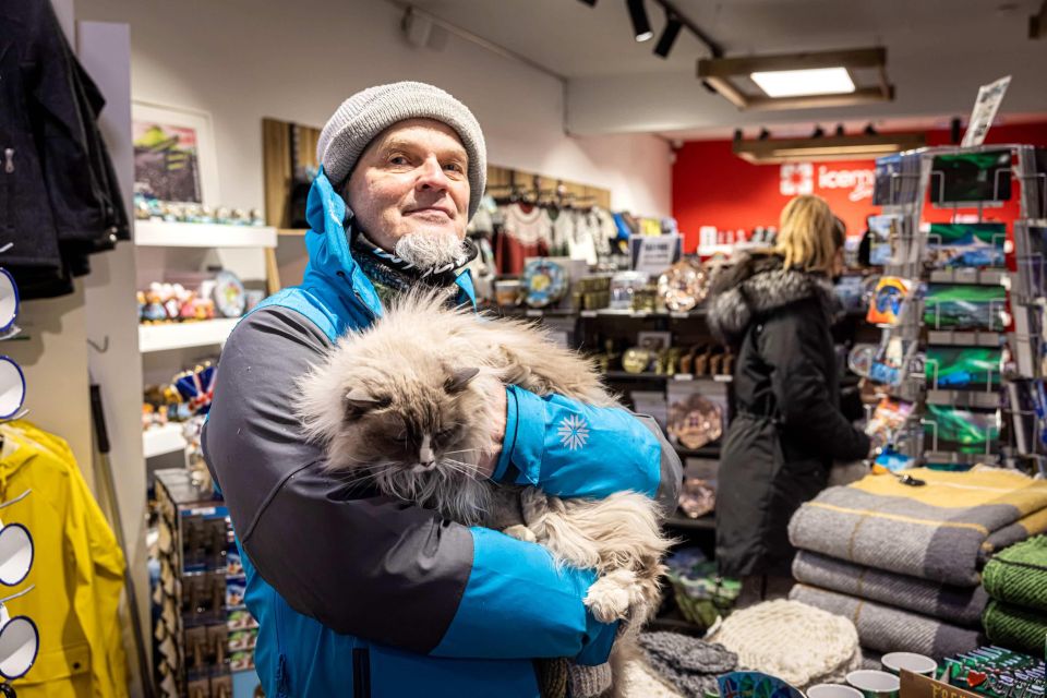 Reykjavik: Feline-Focused City Walking Tour - From Hlöllabátar to Ingólfstorg Square: your cat-lore kickoff