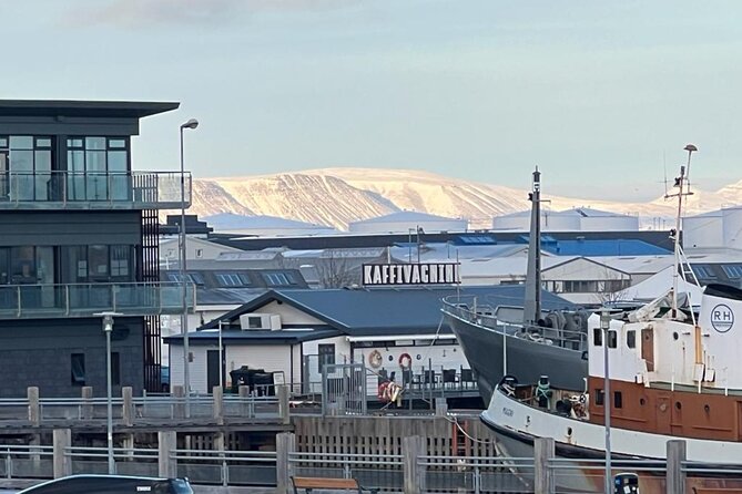 Reykjavik Food Tour - Old Harbor Walking Tour - Old Harbor as your Iceland food map