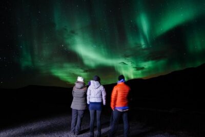 Reykjavik: Golden Circle and Northern Lights Small-Group Tour - Thingvellir National Park: Tectonic Drama Meets Iceland’s Politics