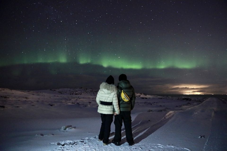 Reykjavík: Golden Circle, Blue Lagoon, and Aurora Tour - Price and Logistics: What You’re Actually Buying