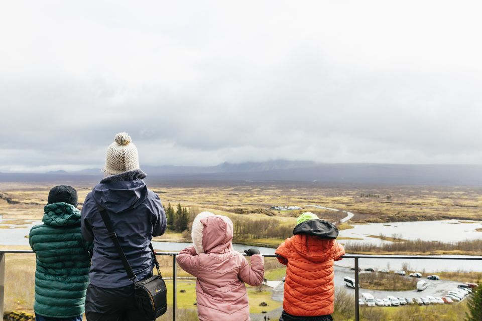 Reykjavik: Golden Circle, Crater & Blue Lagoon Minibus Tour - Price and value: what you’re paying for at $252 per person