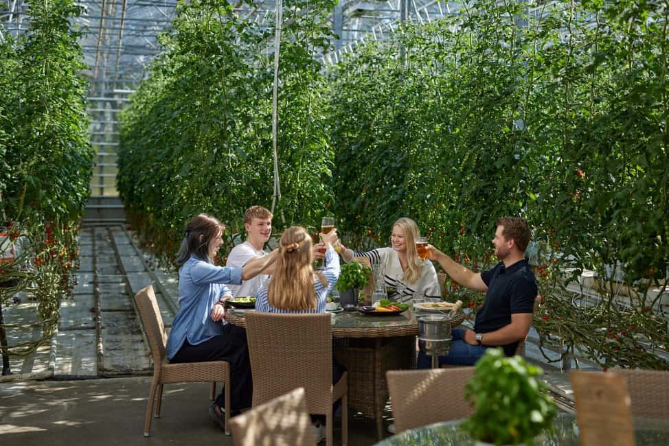 Reykjavík: Golden Circle, Secret Lagoon, & Friðheimar Tour - Friðheimar Tomato Farm lunch stop: the greenhouse experience (and the cost)
