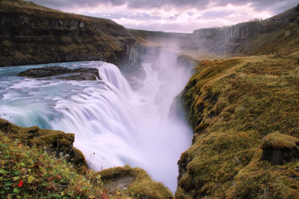 Reykjavik: Golden Circle, Tomato Farm and Kerið Crater Tour - Thingvellir National Park: where Iceland’s parliament began and plates split