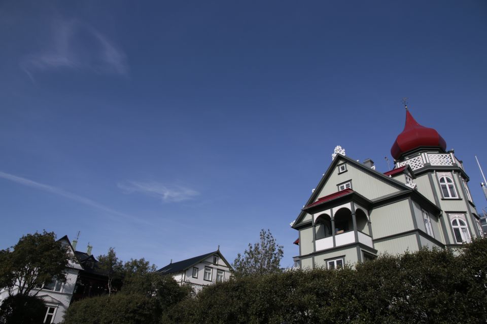 Reykjavik: Guided City Walking Tour - Hallgrímskirkja and the viewpoint push through neighborhood streets