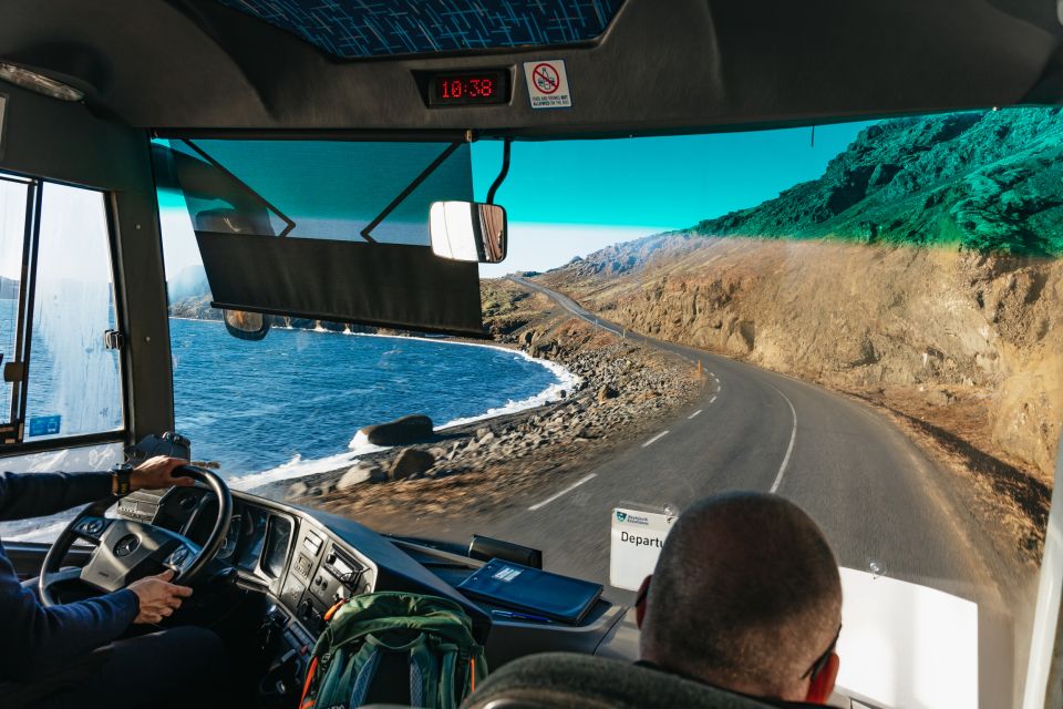 Reykjavik: Guided Tour to Volcano and Reykjanes Geopark - Grindavík fishing village: tectonic rifts, protective barriers, and the lunch break