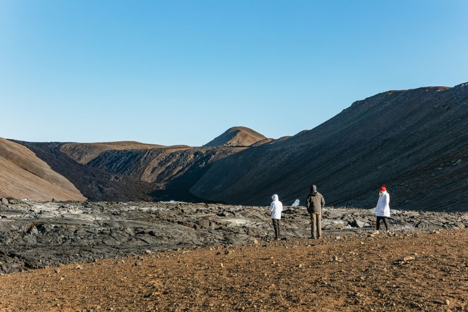 Reykjavik: Guided Tour to Volcano and Reykjanes Geopark - Price and value: is $95 a fair deal?