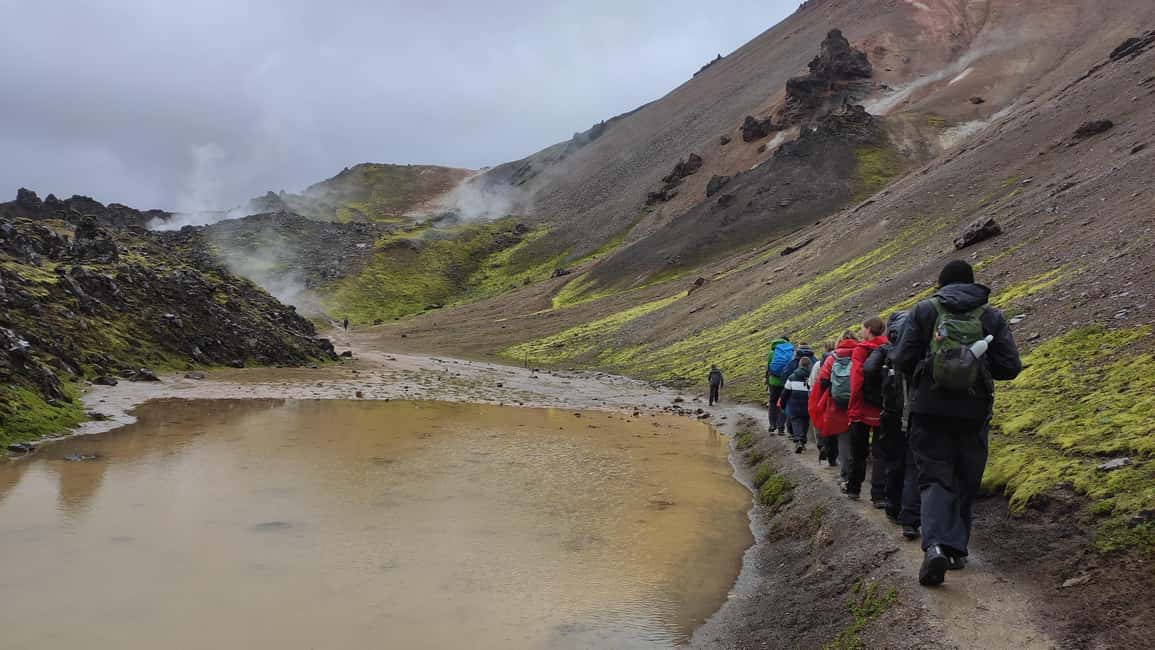 Reykjavík/Hella: Landmannalaugar Highlands Full-Day Trip - Hot Springs After the Trek: Real Relaxation, Separate Ticket