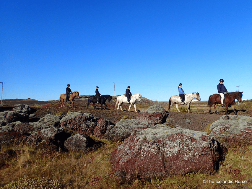 Reykjavík: Horse Riding Tours - Quick hits before you go