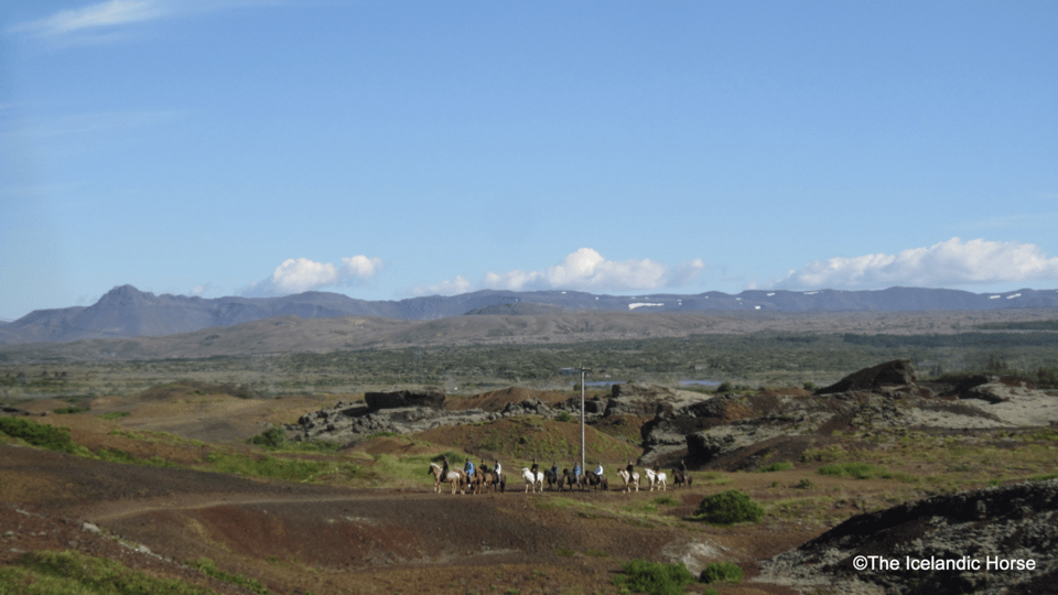 Reykjavík: Horse Riding Tours - Redhill Views and Volcanic Terrain From the Saddle