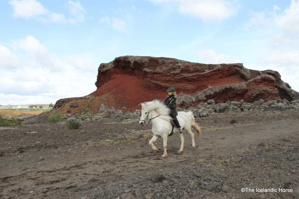 Reykjavík: Horse Riding Tours - Gear and Safety: What You’ll Be Taught to Do