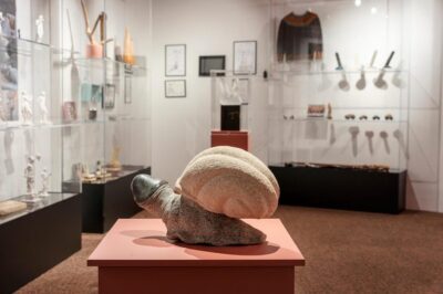 Reykjavik: Icelandic Phallological Museum Entry Ticket - What the ticket really gets you