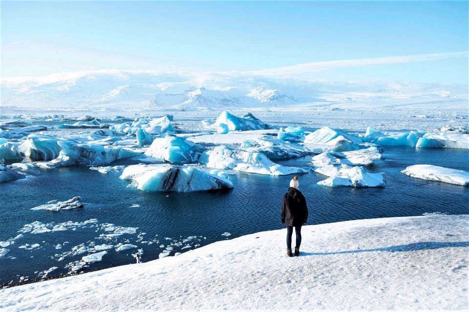 Reykjavik: Jokulsarlon Glacier Lagoon Full-Day Guided Trip - The guide and driver: why the day feels smooth (when it does)