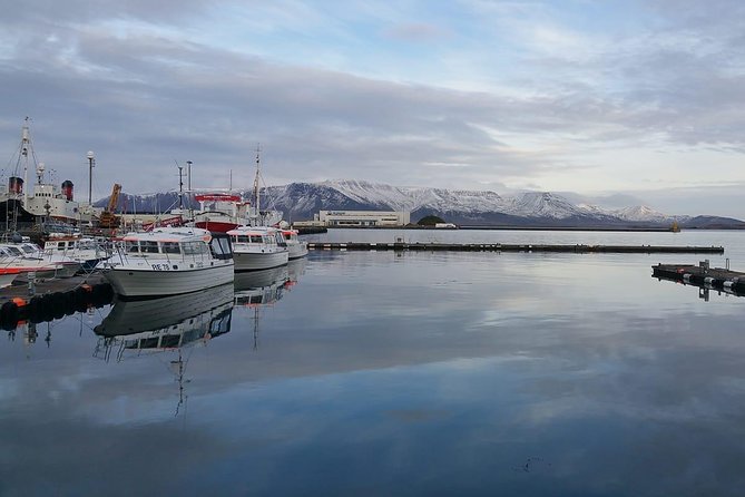 Reykjavik Main Sights and Hidden Spots: A Self-Guided Audio Walk - Why this Reykjavik audio walk is a smart use of time