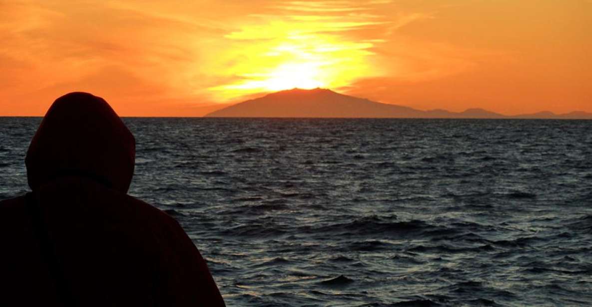 Reykjavik: Midnight Sun Whale Watching Tour - Why Faxafloi Bay Makes Reykjavik Whale Watching Feel Personal