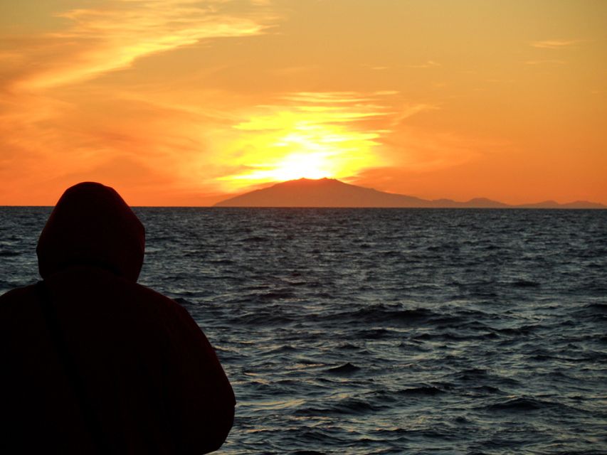 Reykjavik: Midnight Sun Whale Watching Tour - On Deck During the Midnight Sun: How the Search Really Works