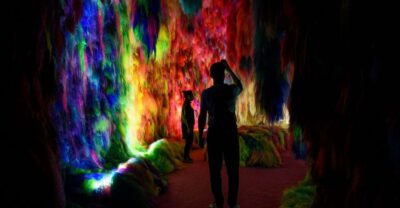 Reykjavík: Multi-Sensory Art Installation Chromo Sapiens - The 60-minute flow: what your ticket really covers
