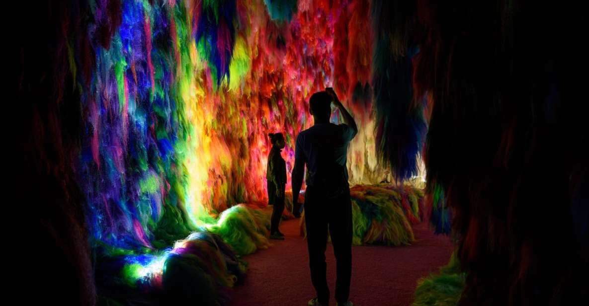 Reykjavík: Multi-Sensory Art Installation Chromo Sapiens - The 60-minute flow: what your ticket really covers