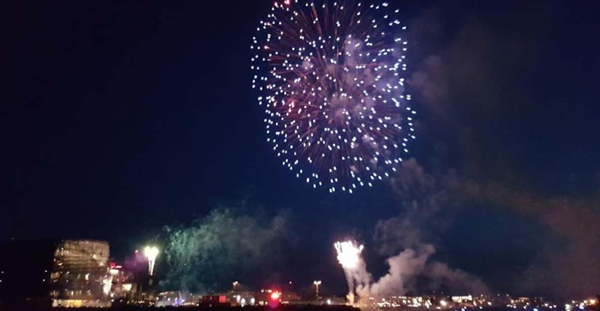 Reykjavík: New Year's Eve Northern Lights Yacht Cruise - Key things to know before you board