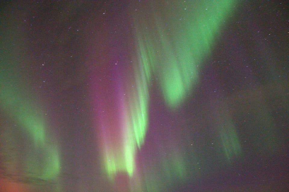 Reykjavík: New Year's Eve Northern Lights Yacht Cruise - Should you book the Reykjavík New Year’s Eve Northern Lights yacht cruise?