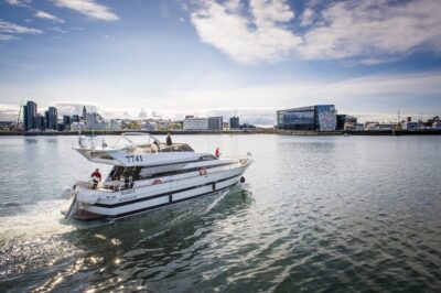 Reykjavík: New Year's Eve Northern Lights Yacht Cruise - From Reykjavík waters to Videy Island’s Imagine Peace monument