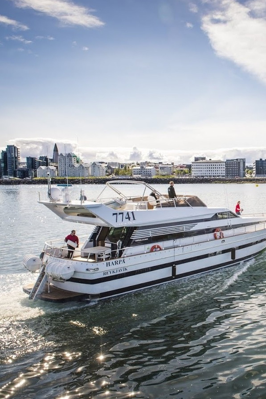 Reykjavík: New Year's Eve Northern Lights Yacht Cruise - What to wear, what to bring, and how to avoid common mistakes