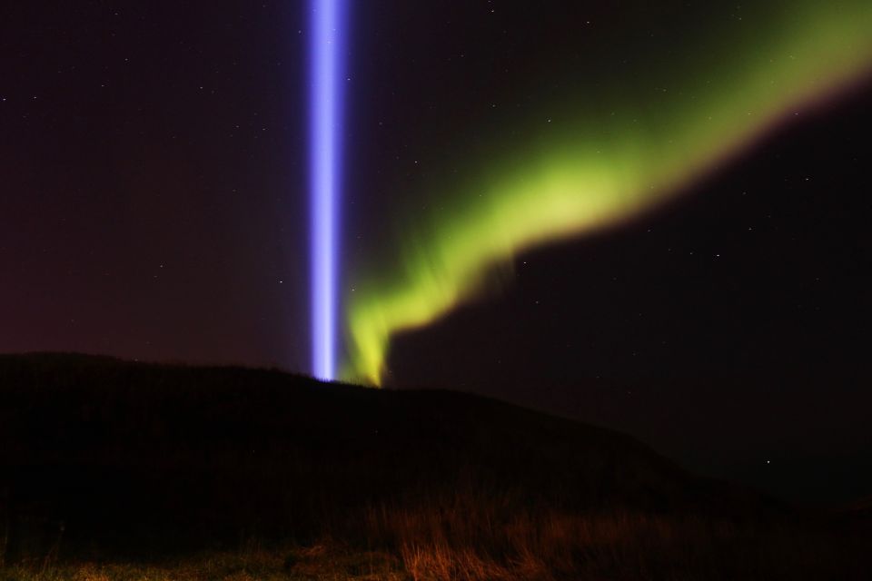 Reykjavík: Northern Lights Cruise - How the guide improves your odds (and your patience)