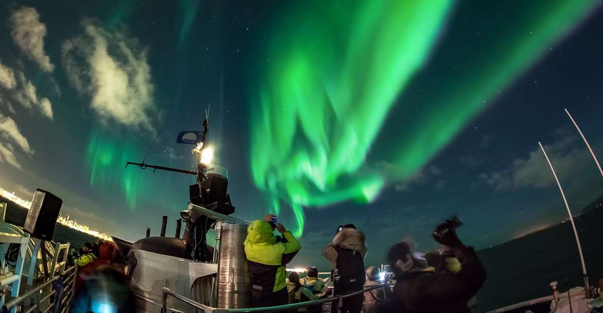Reykjavik: Northern Lights Guided Boat Tour - Key things that make this tour worth your time